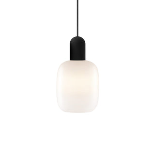 Arca Tall Placebo Pendant Light Down