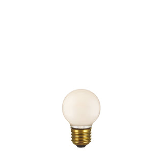 G19 Frosted Globe Bulb (120V)
