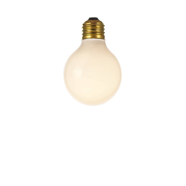 Incandescent Small Globe Frosted Bulb (120V)