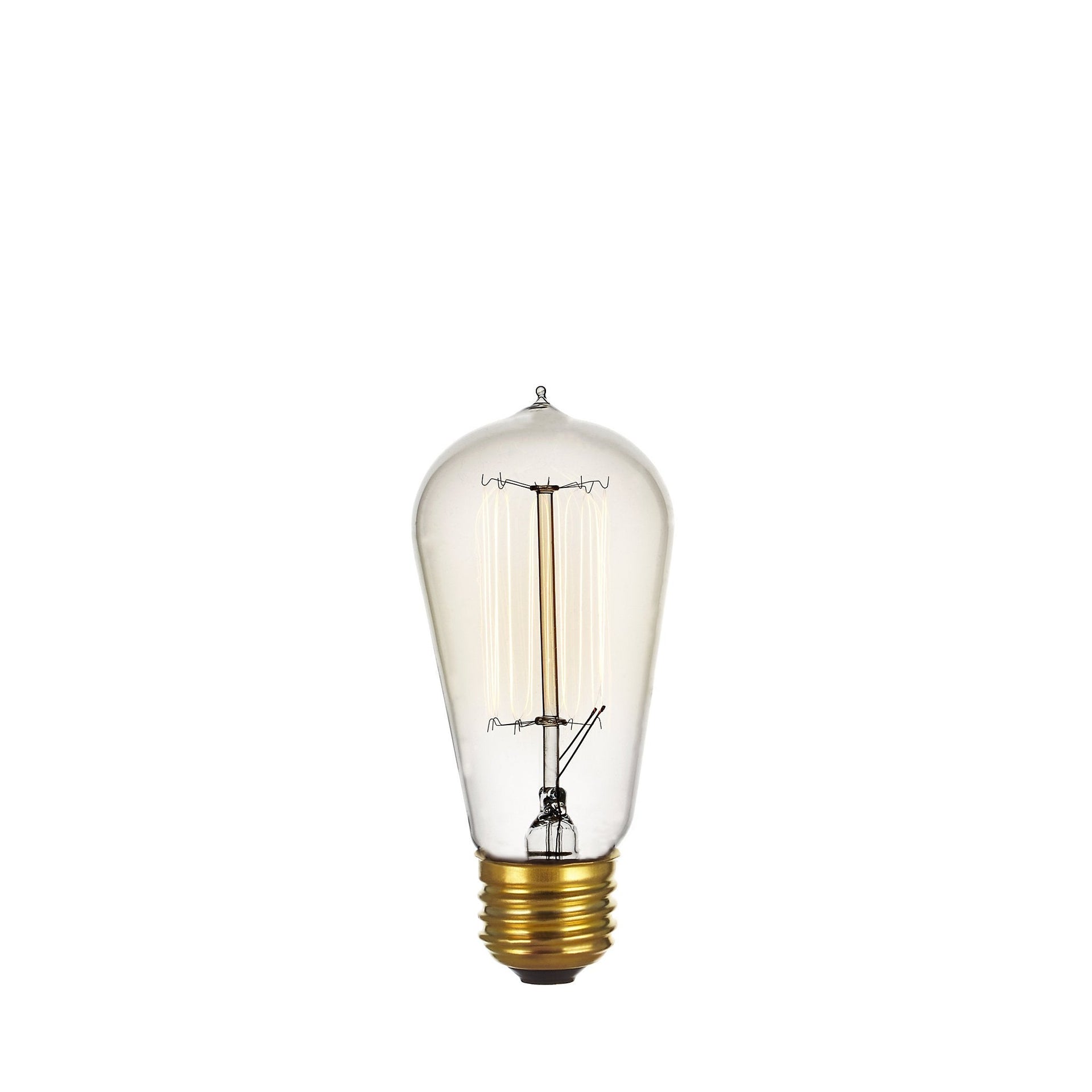 edison grow light bulb Incandescent Edison Bulb (120/240V)