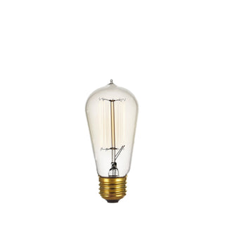 Incandescent Edison Bulb (240V)