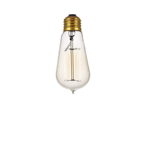 Incandescent Edison Bulb (240V)