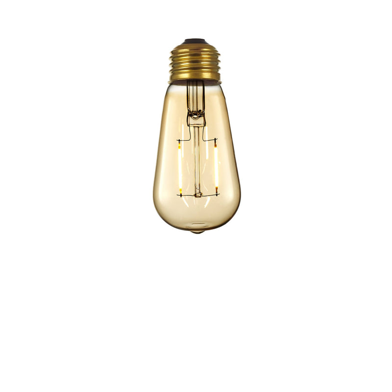 LED Edison Bulb (120V)